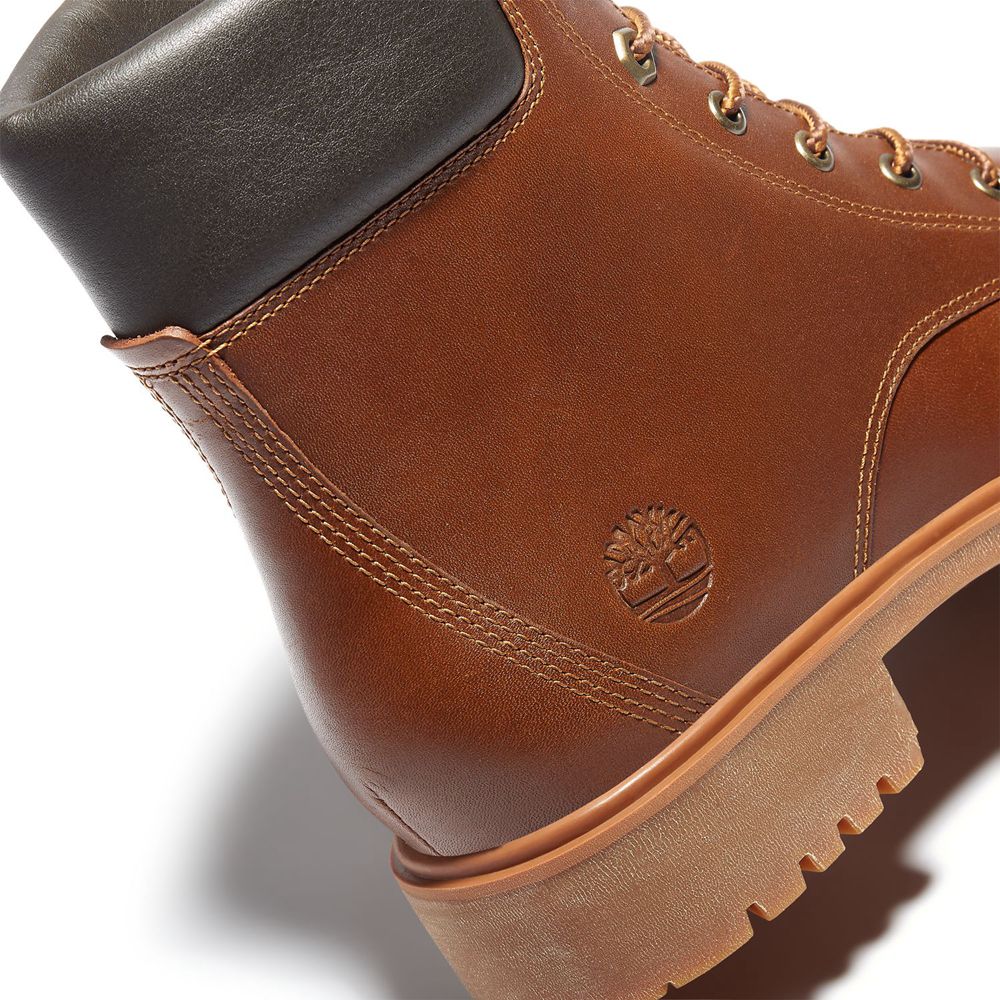 Bocanci 6-Inch Timberland Dama Maro - Jayne Waterproof - Romania - VAMGKU812